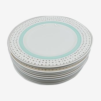 12 flat plates Ardy - Golden stars and mint green