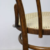 Paire de chaises brunes
