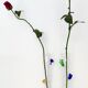 Pair of Transparent Murano Glass Flutes with Colored Details, Italy, 1980s