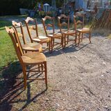 6 Old Straw Chairs in Fruit Tree