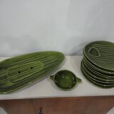 Asparagus 50 years service