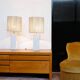 Pair of marble lamps from the 60s and their rope lampshades.