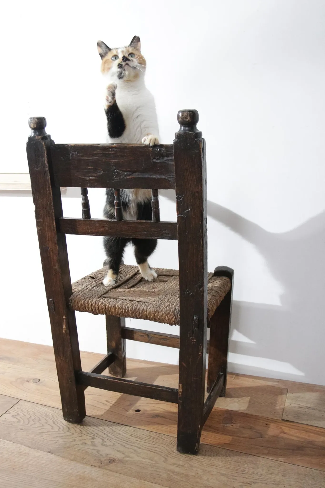 17th-century farmhouse chair with carved motifs – wabi sabi