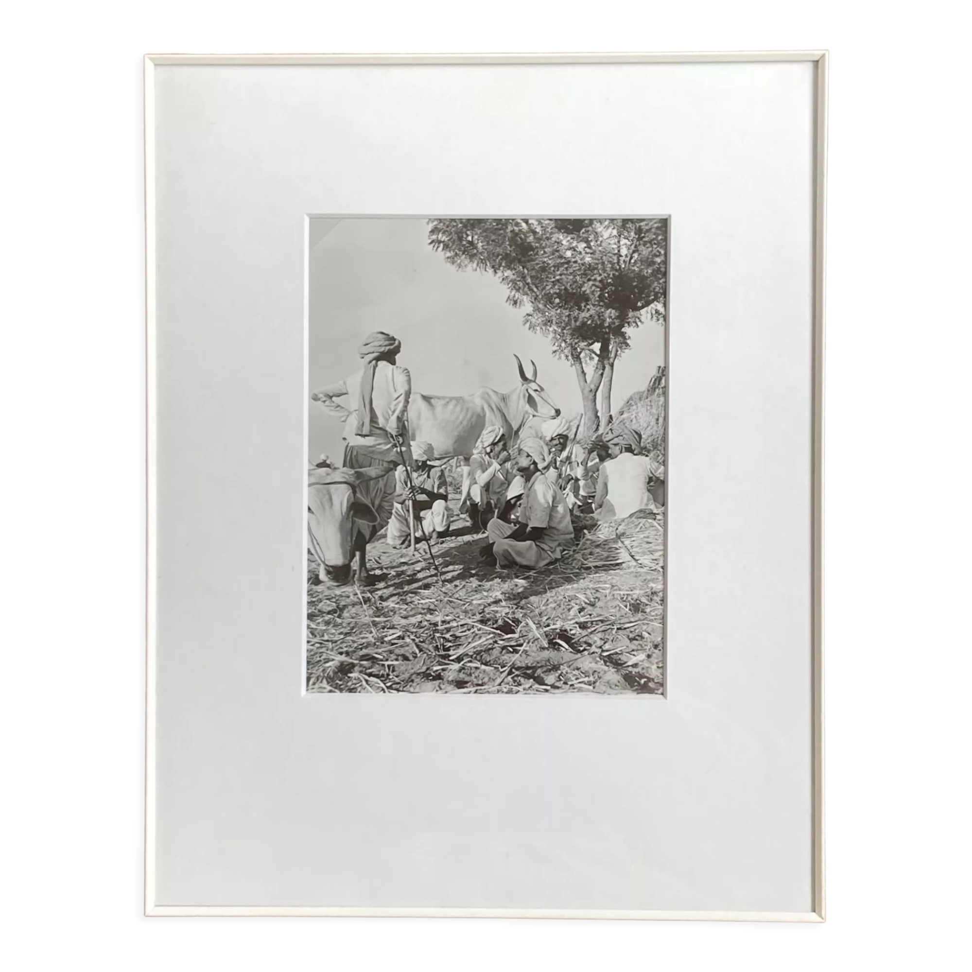 Original photograph by Suraj N Sharma: Chaksu Pilgrimage