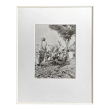 Original photograph by Suraj N Sharma: The Chaksu Pilgrimage
