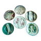6 French Antique Asparagus Plates in Majolica