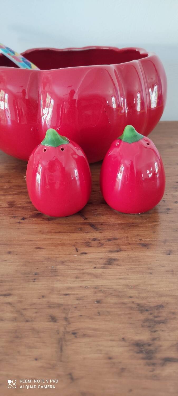 Tomato barbotine salad bowl