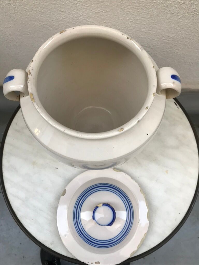 Candied glazed earth early xx