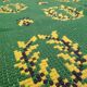 Antique green Berber rug