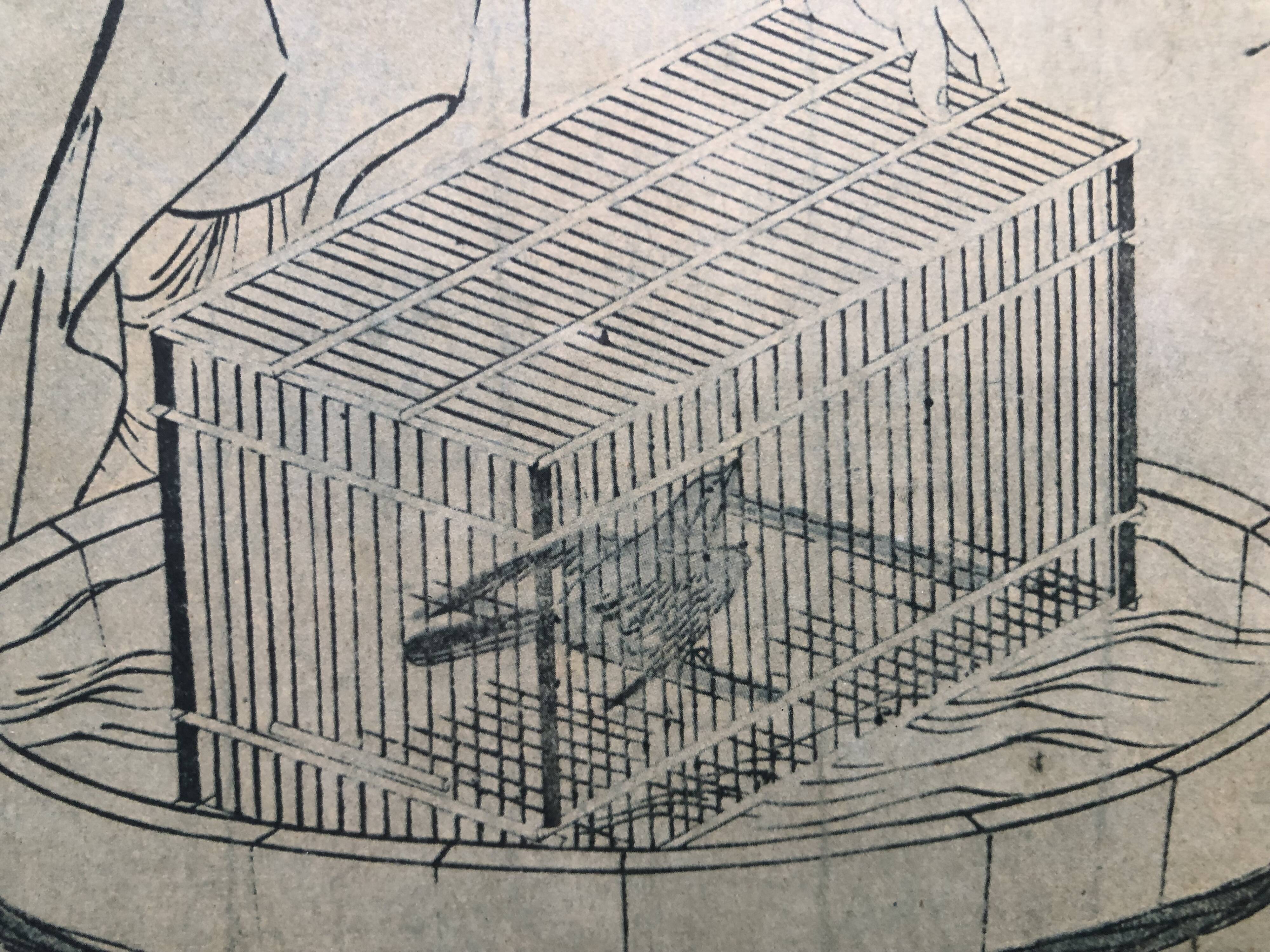 Japan print, woman near bird cage kitagawa utamaro copy 1961 rennes museum
