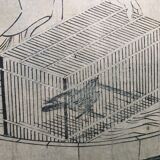 Japan print, woman near bird cage kitagawa utamaro copy 1961 rennes museum