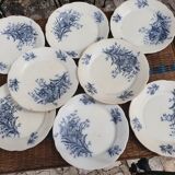 Set of 8 earthenware collection plates