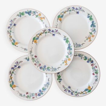 5 Woodhill plates