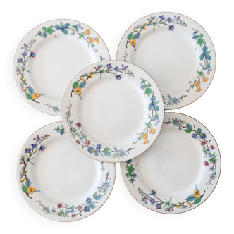 5 Woodhill plates