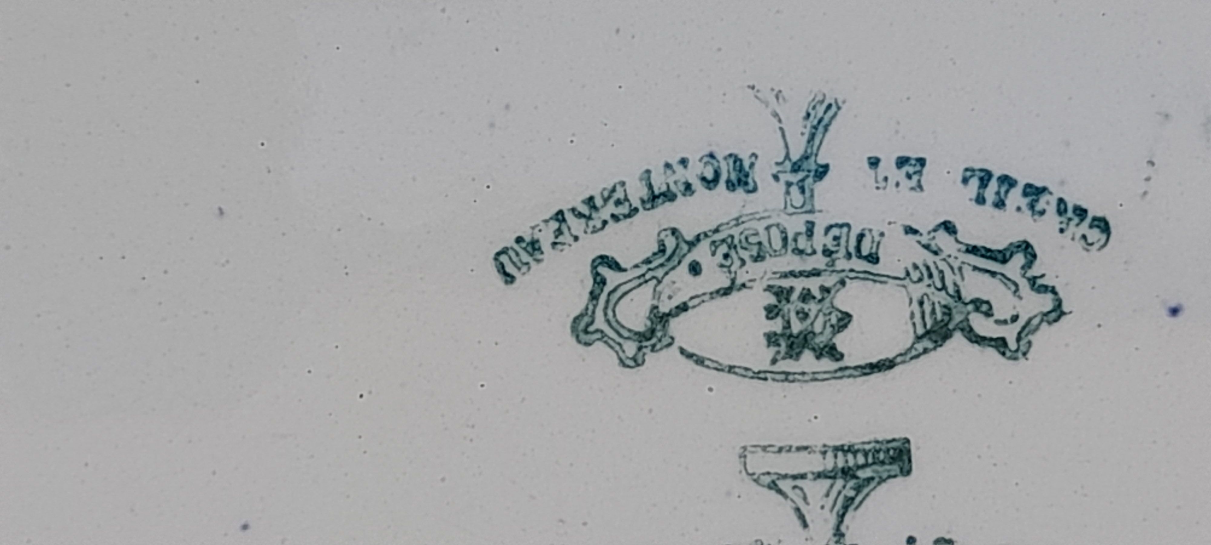 8 flat earthenware plates Creil and Montereau late nineteenth diam 23 cm