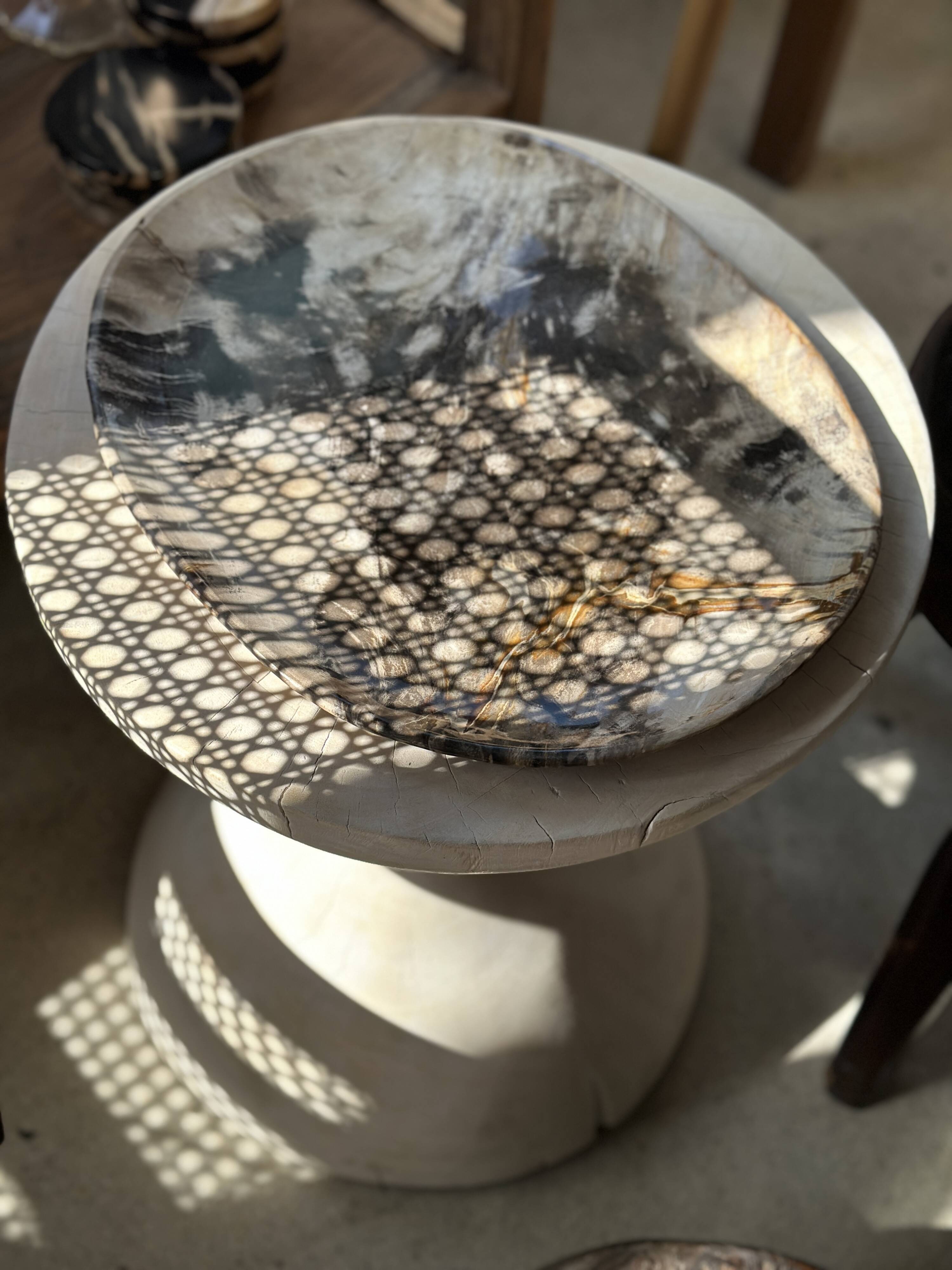 Very large pocket or dish in petrified wood