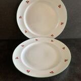 2 assiettes aux motifs de cerises