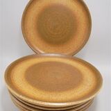 Set of 7 plates