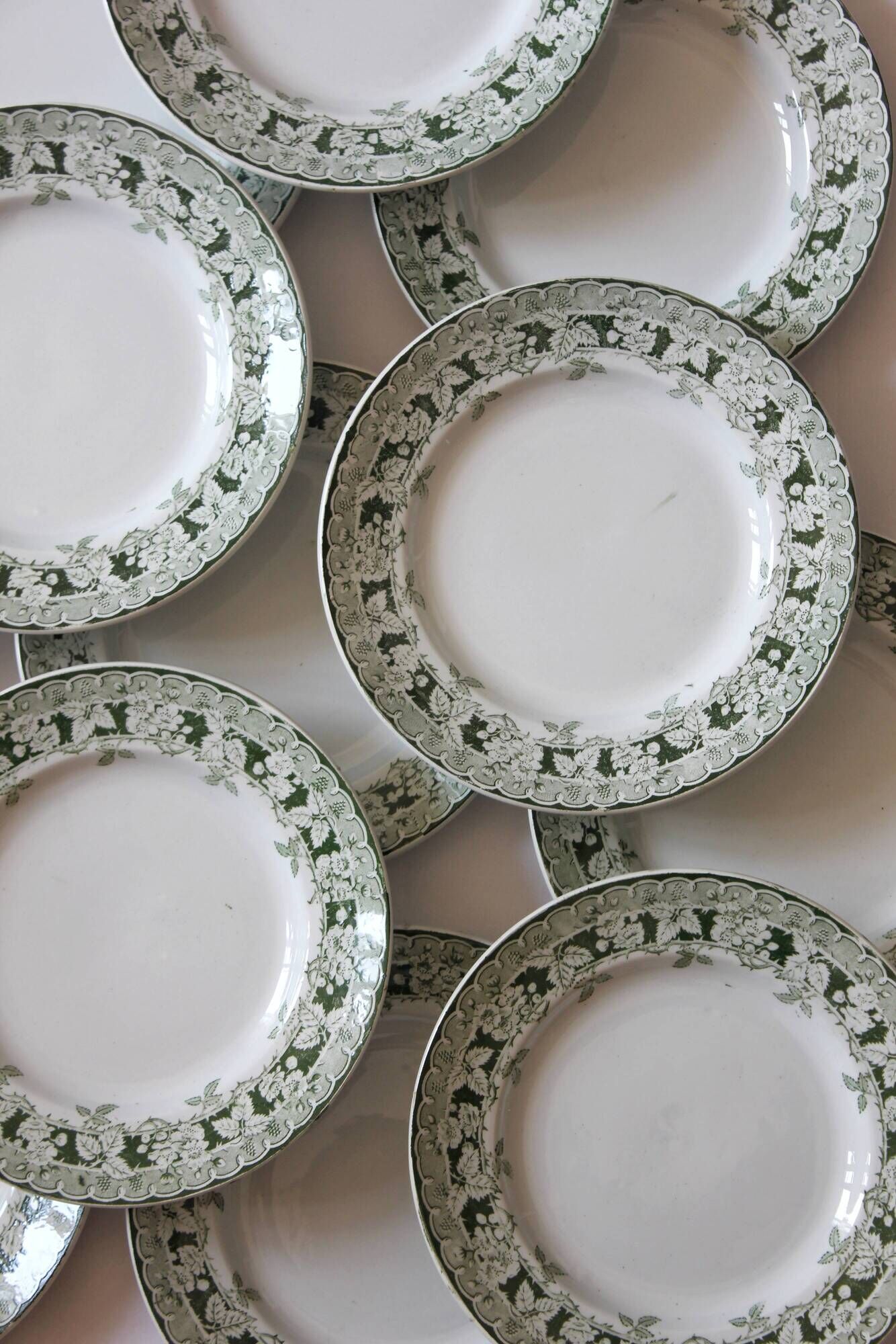 12 flat plates in iron earth model "Mulberry" Saint Amand and Hamage early twentieth century