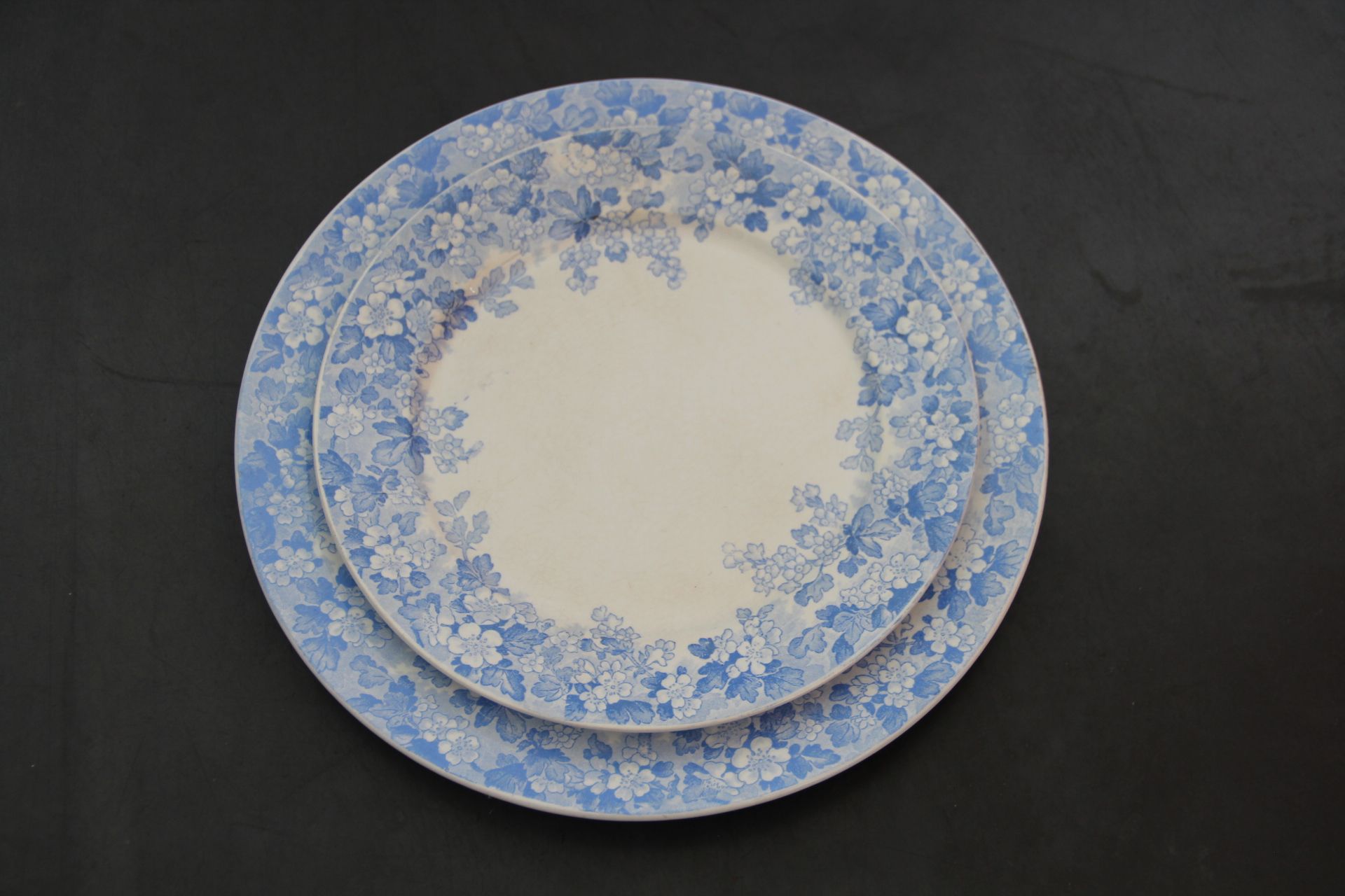 Rare plate service 6 people "Récamier" U&C Sarreguemines and Digoin late nineteenth °