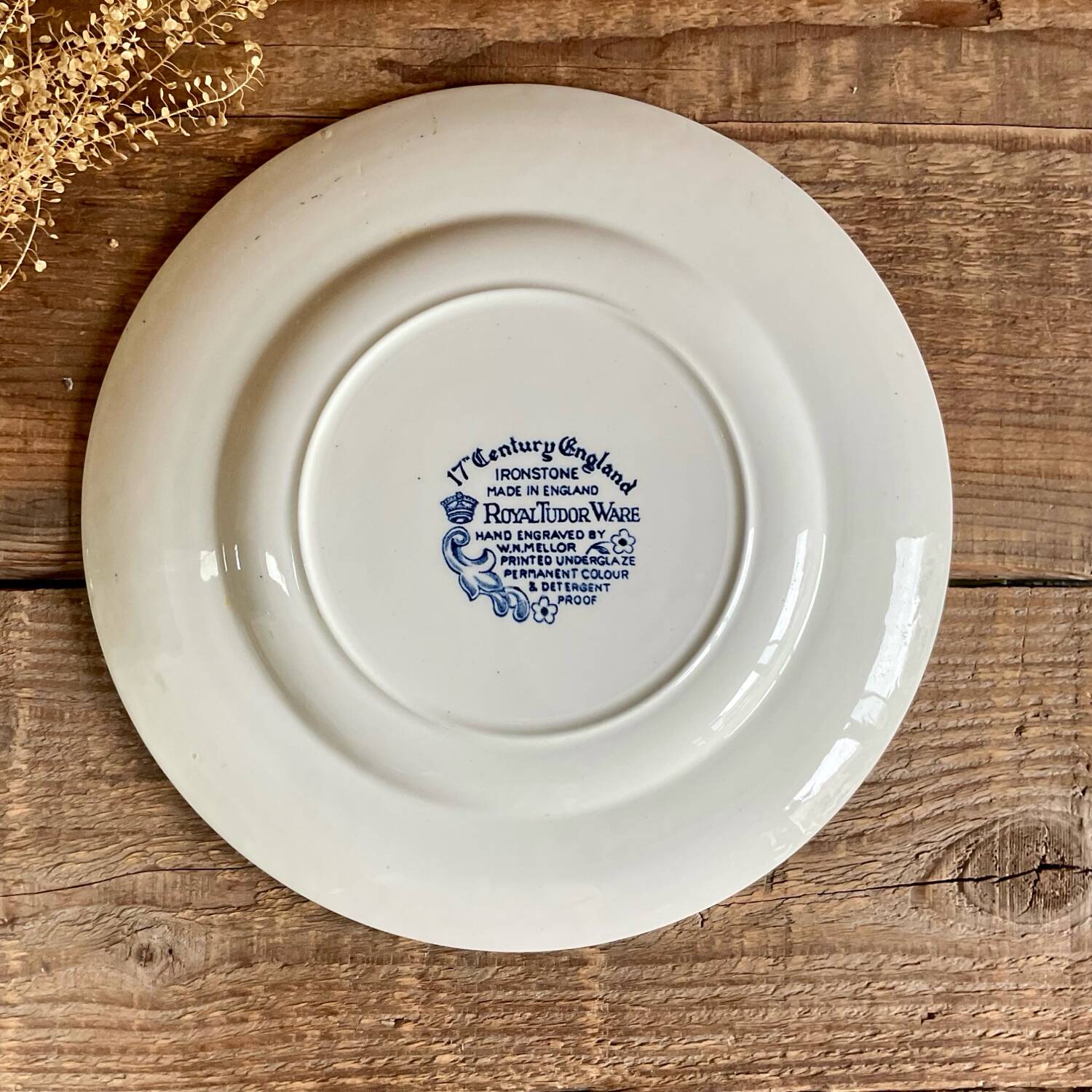 3 dinner plates “Royal Tudor Ware” England