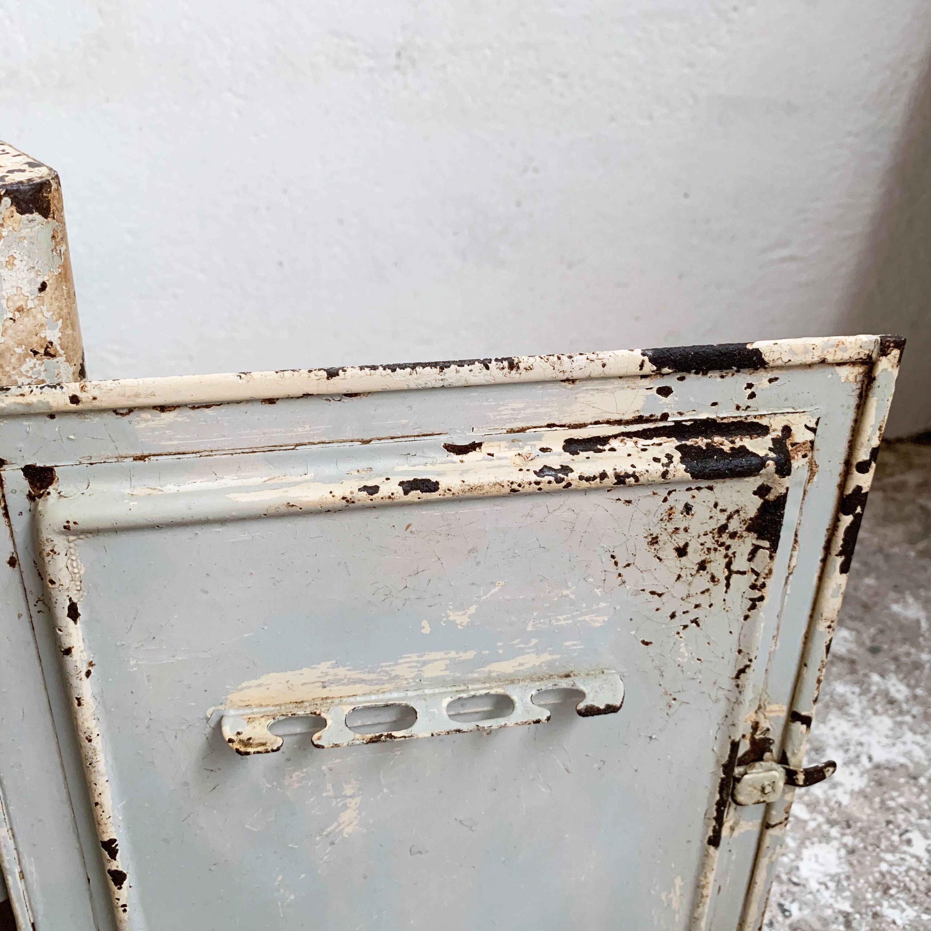 Pharmacy or toilet cabinet