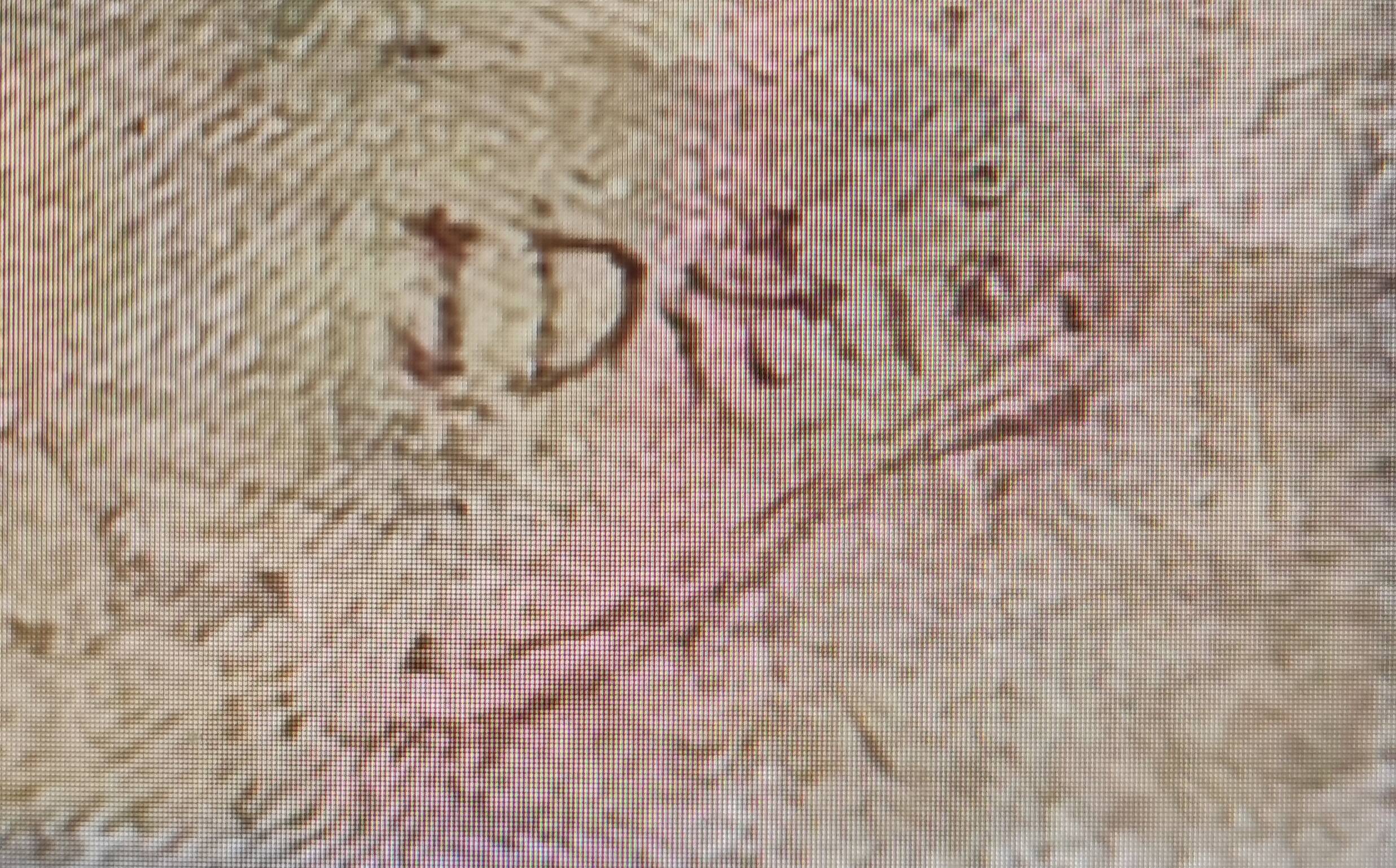 French vintage still life, oil on canvas