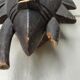 African mask with ibis