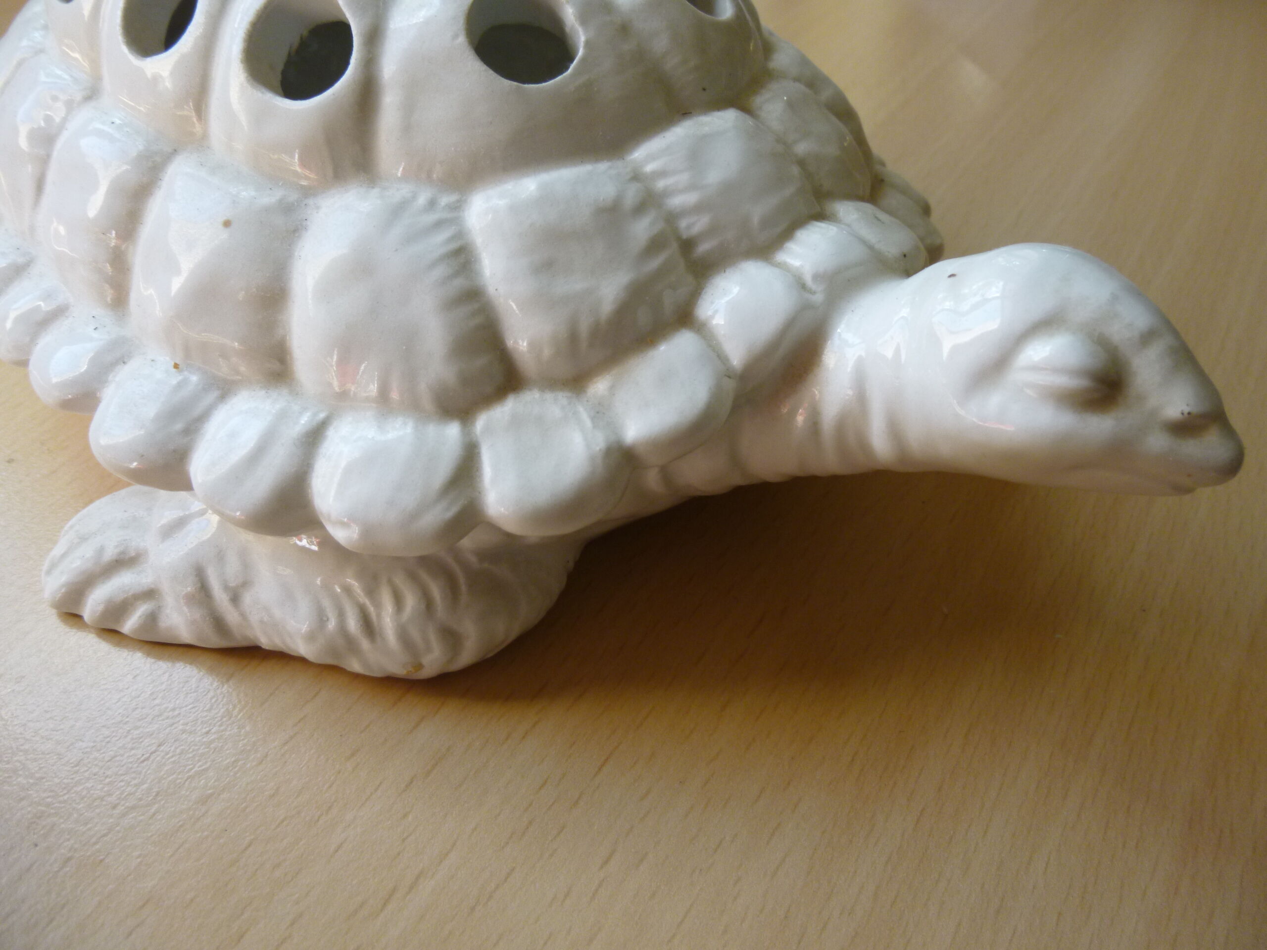 Pique flowers turtle in glazed white ceramic