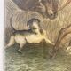 Gravure Chasseurs égarés début XX siècle
