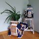 Elephant planter ceramic flower pot