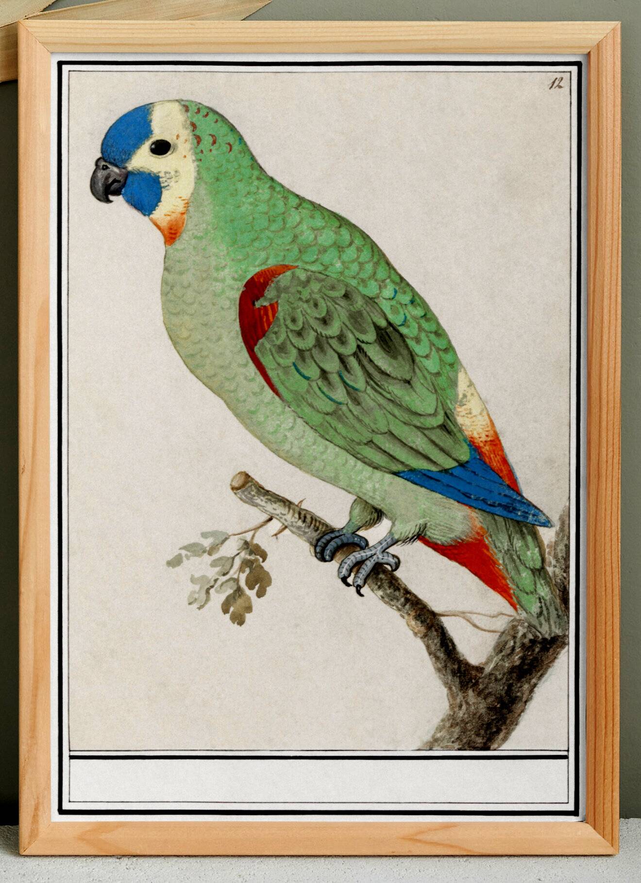 Set of 4 small posters, based on engravings from 1610