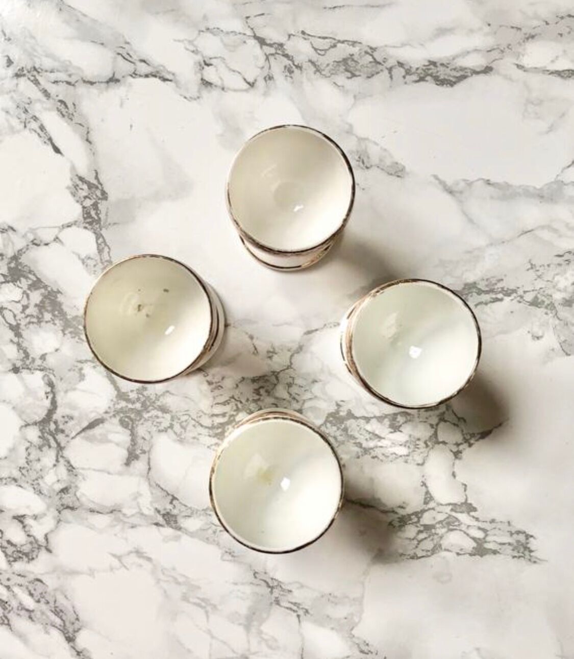 Suite of 4 old porcelain cockroaches decorated with sepia-printed leaves