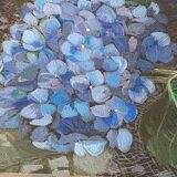 Hydrangea Painting