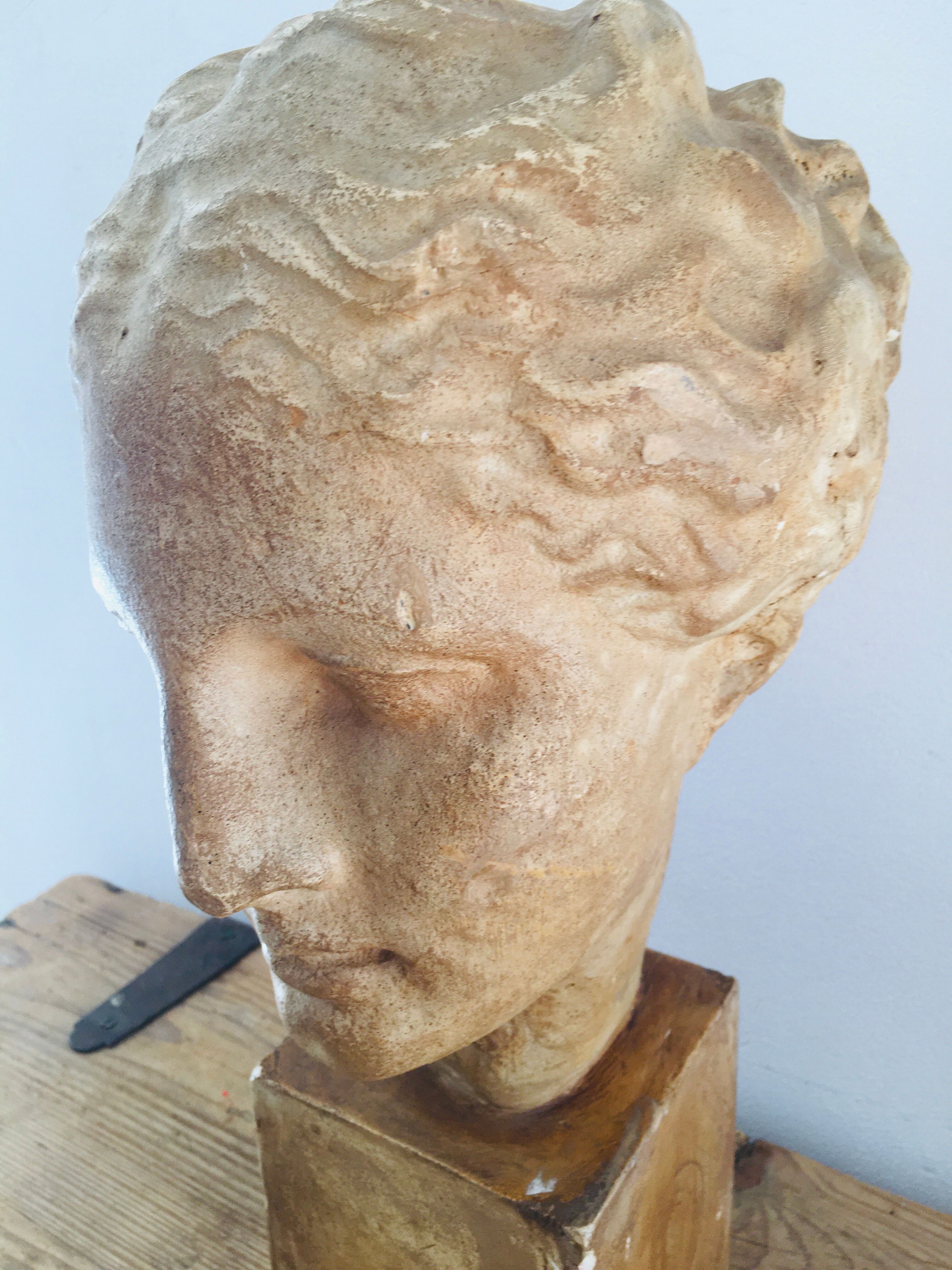 Plaster head goddess Hygie