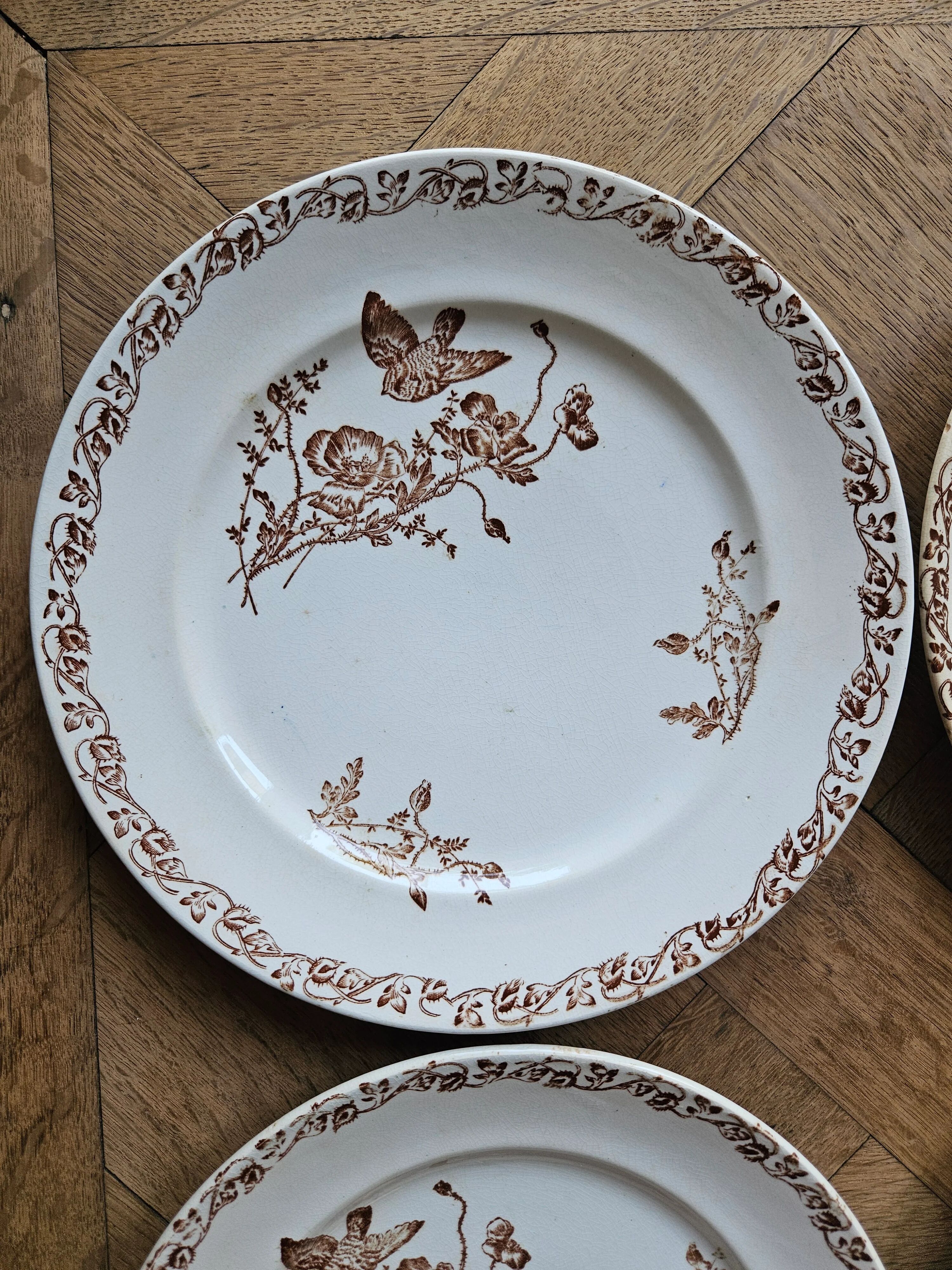 Flat plates, ironstone, poppies