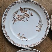 Flat plates, ironstone, poppies