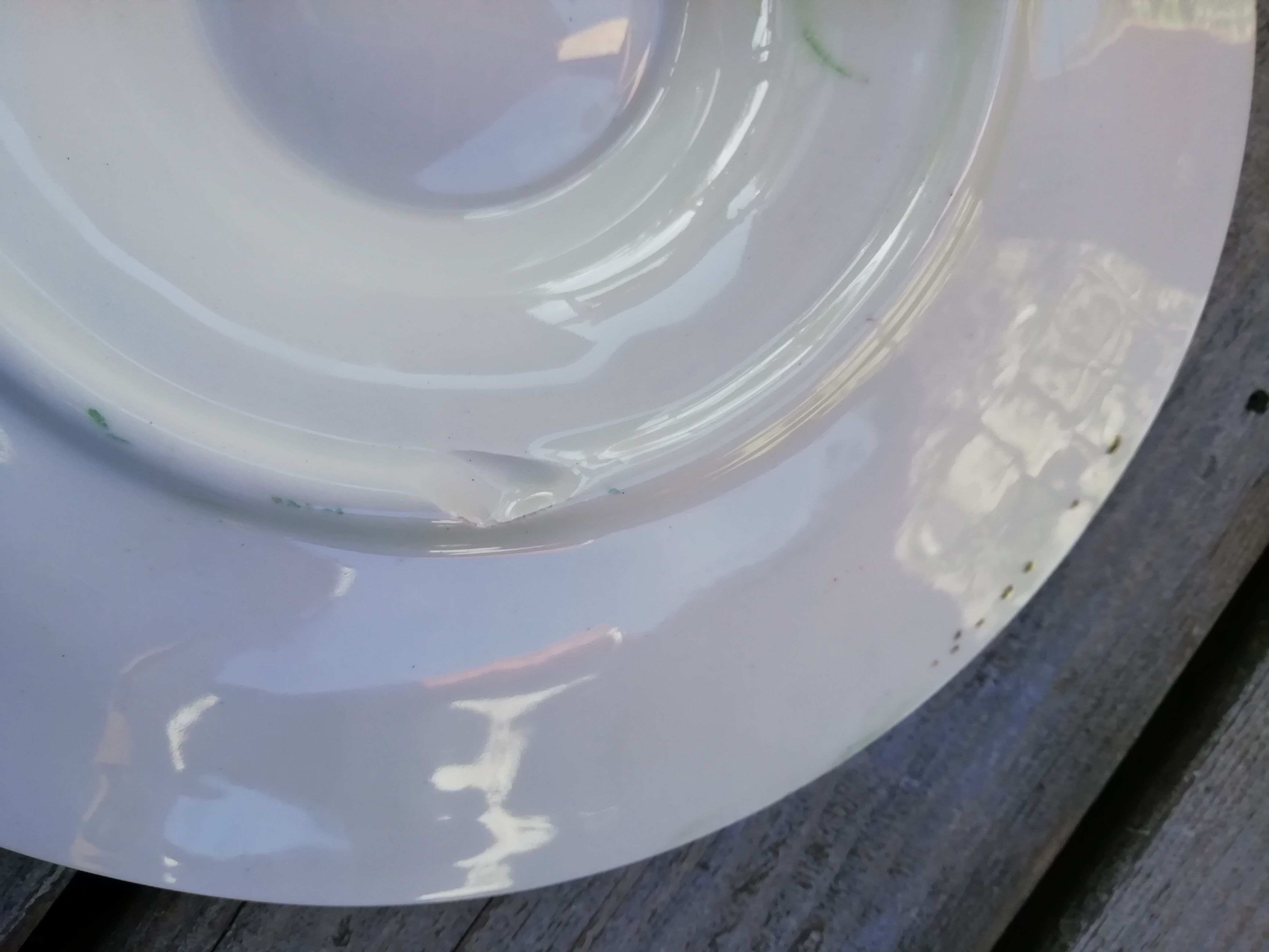 Assiette à huîtres Longchamp