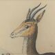 Ornithological Plate Buffon 1838 "Chamois, Musk & Gazelle"