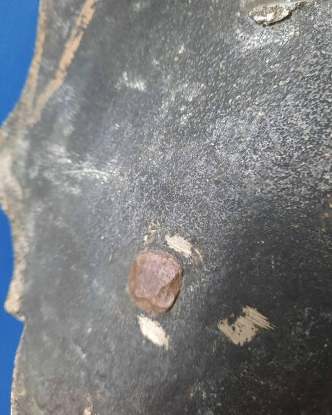 Antique door knocker (swan neck)