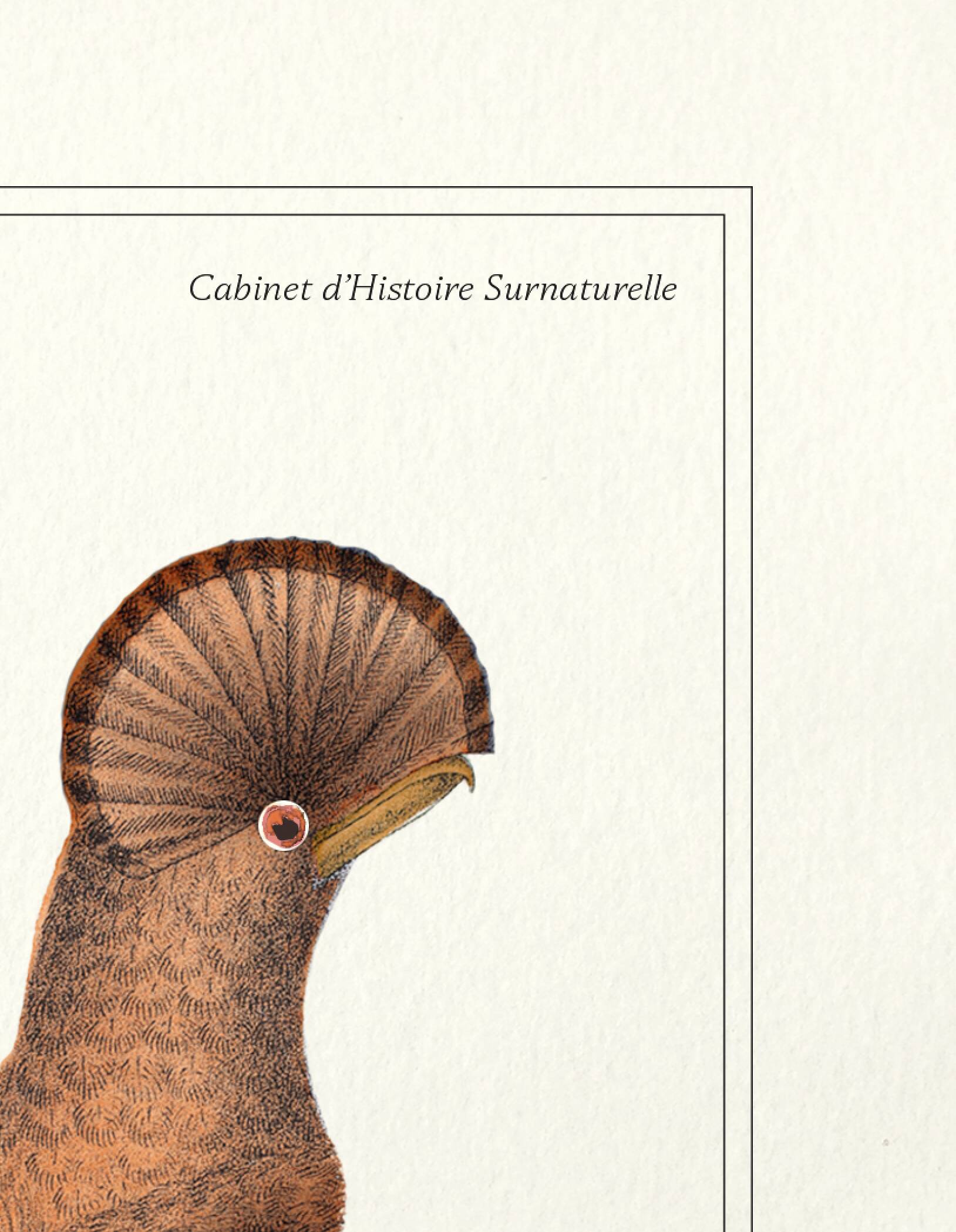 Chimera lithograph engraving animal - the maricoq