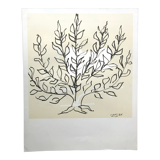 Lithograph by Henri Matisse, after Le Buisson, 1994