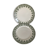 2 Flat Plates Iron Earth Badonviller khaki clover