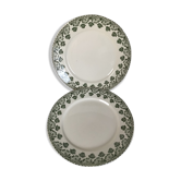 2 Flat Plates Iron Earth Badonviller khaki clover