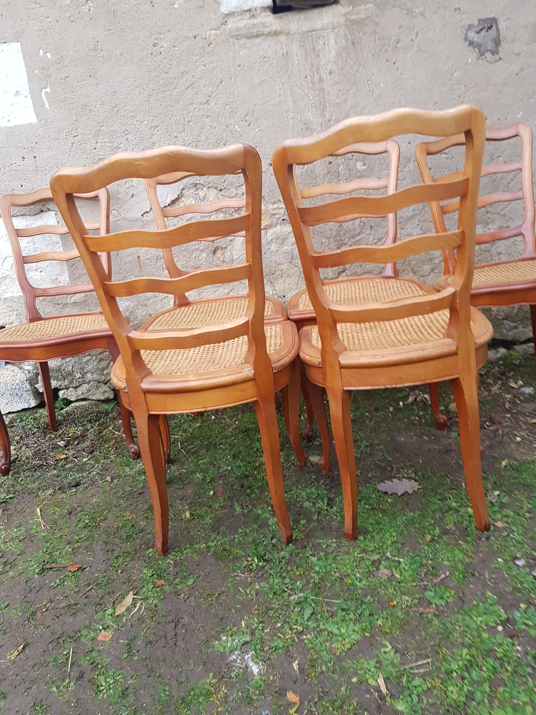 Chaises cannées