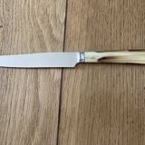 Case of 12 dessert knives