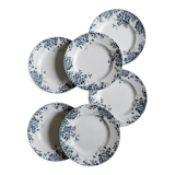 Old flat plates Marie-Louise