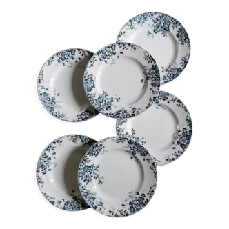 Old flat plates Marie-Louise