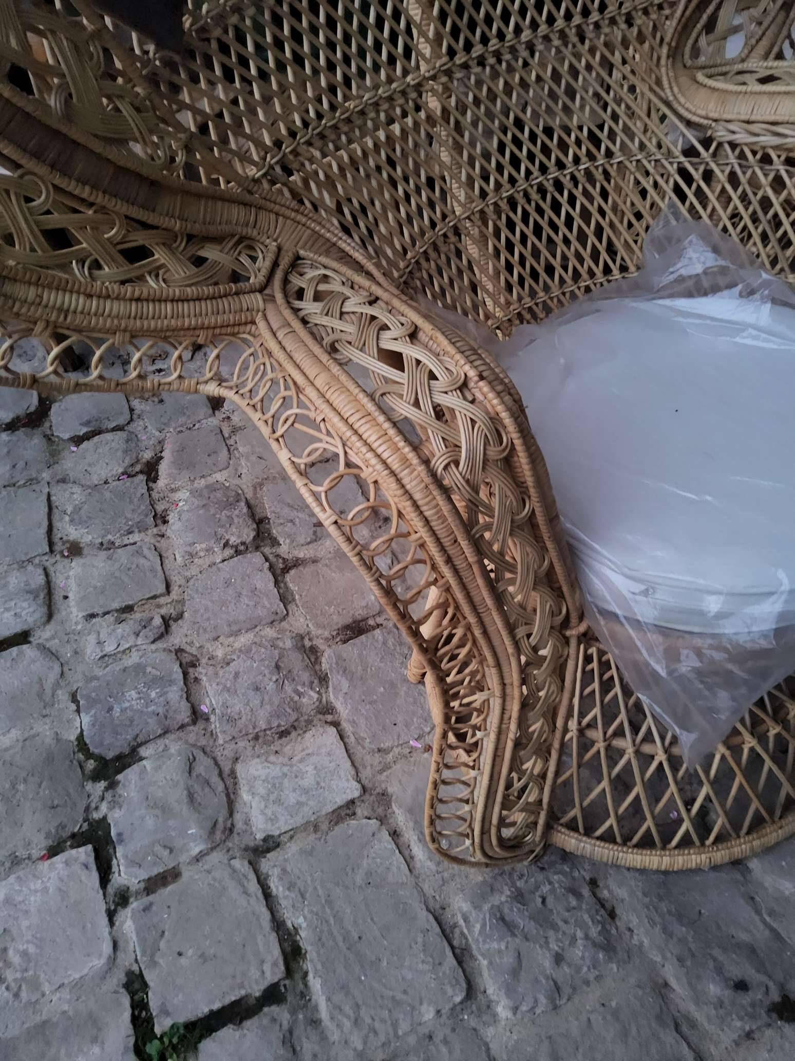 Pair of Emmanuelle armchairs