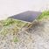 Vintage neoclassical coffee table